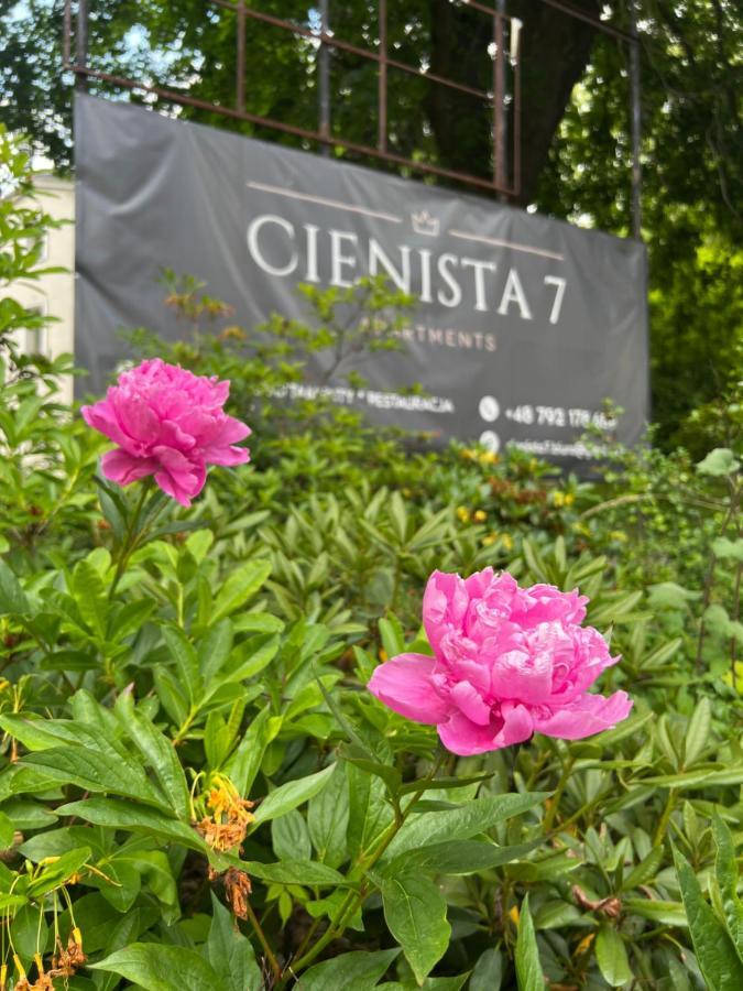 Cienista 7 Apartments Lądek-Zdrój Εξωτερικό φωτογραφία
